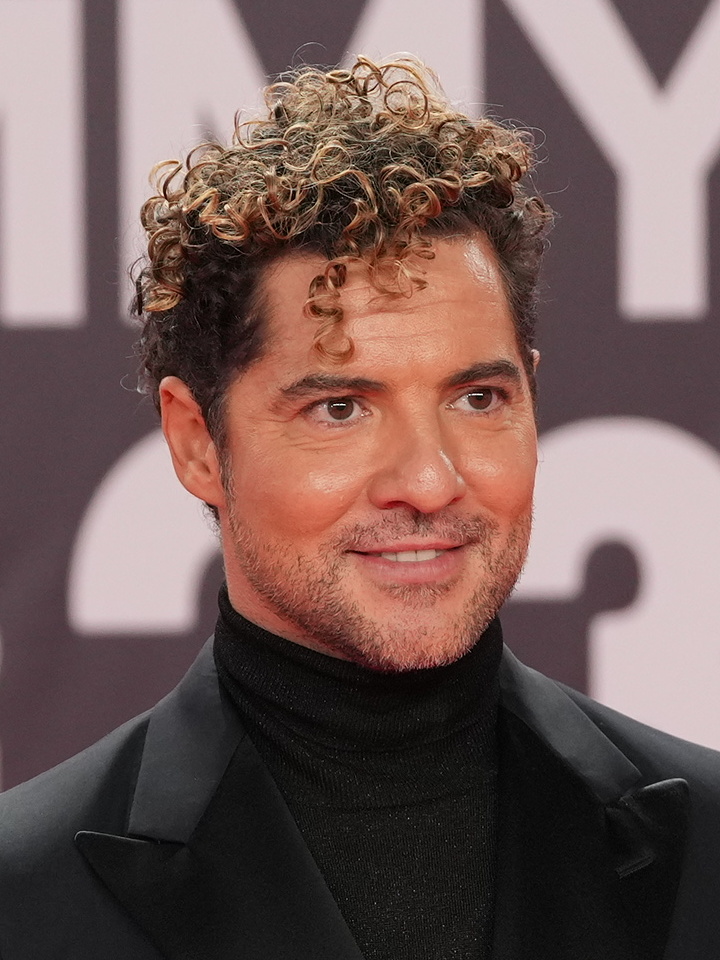 Junta de Andalucía, CC BY-SA 2.0, via Wikimedia Commons David Bisbal tickets