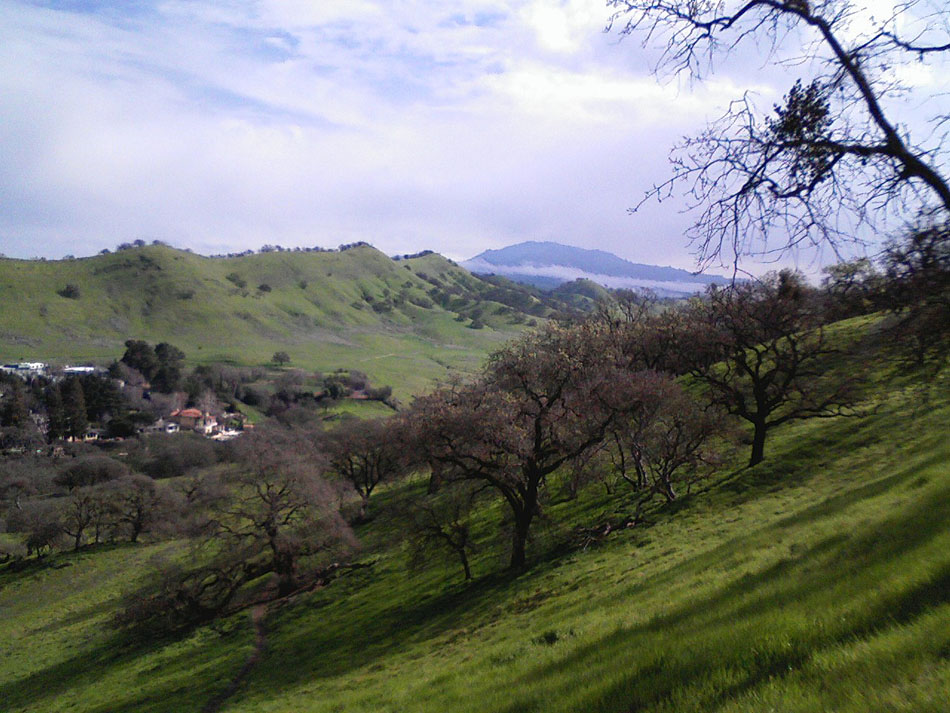Events in Walnut Creek